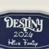 Close-up of 3D printed personalised cruise classic door plaque — ornate enchanted font ship name with custom year and family name on deep navy background, silver-grey classic border frame, UK made